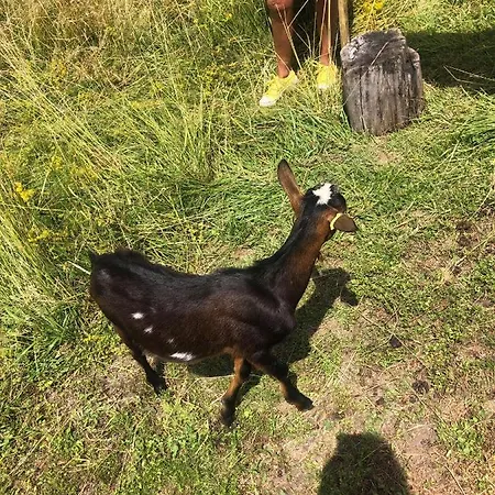 Vendégház Le Domaine Des Pres 3*
