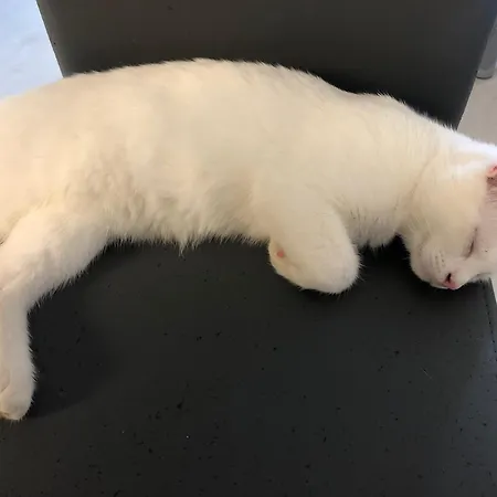 Le Domaine Des Pres Lachambre