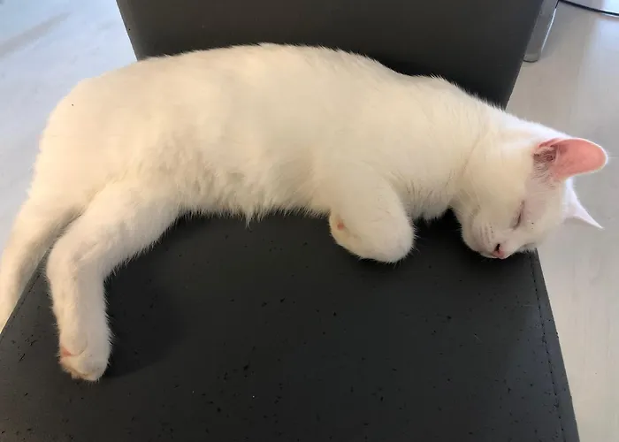 Le Domaine Des Pres Lachambre